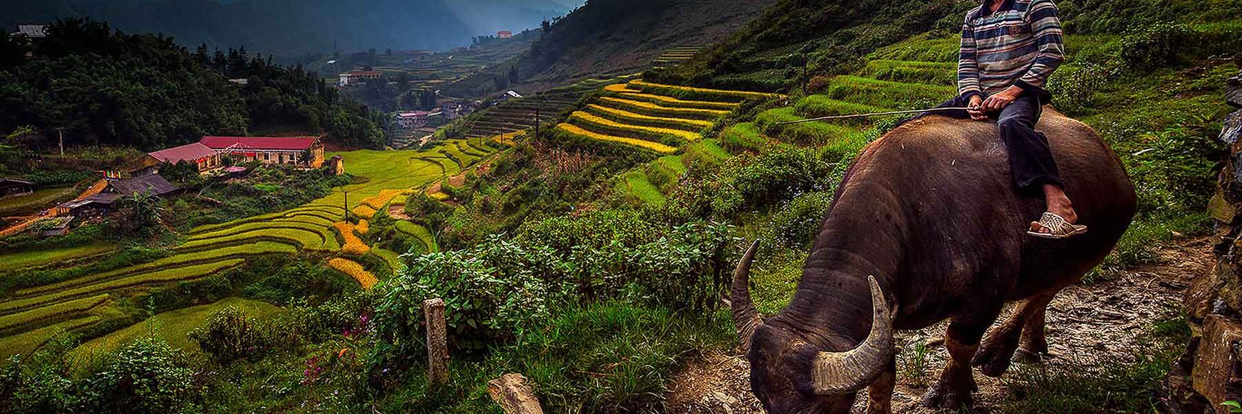 cat cat village sapa