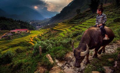 cat cat village sapa