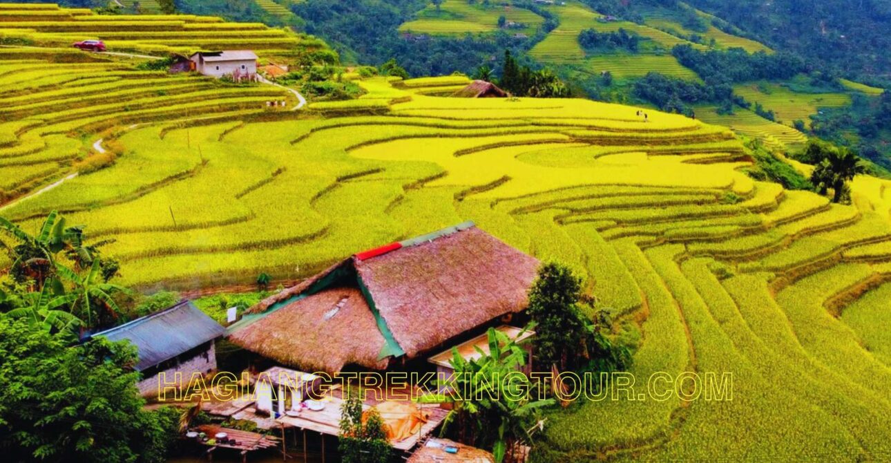 When is the Best Time to Visit Ha Giang?