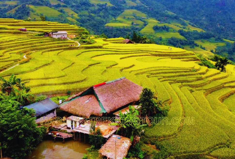 When is the Best Time to Visit Ha Giang