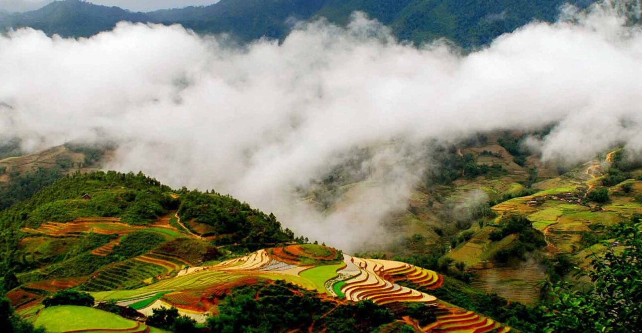 The Best Time to Visit Sapa: Discover Its Beauty Through Every Season