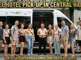 EcoSapa Bus Afternoon