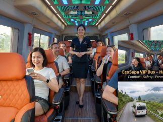 EcoSapa Bus Return Afternoon