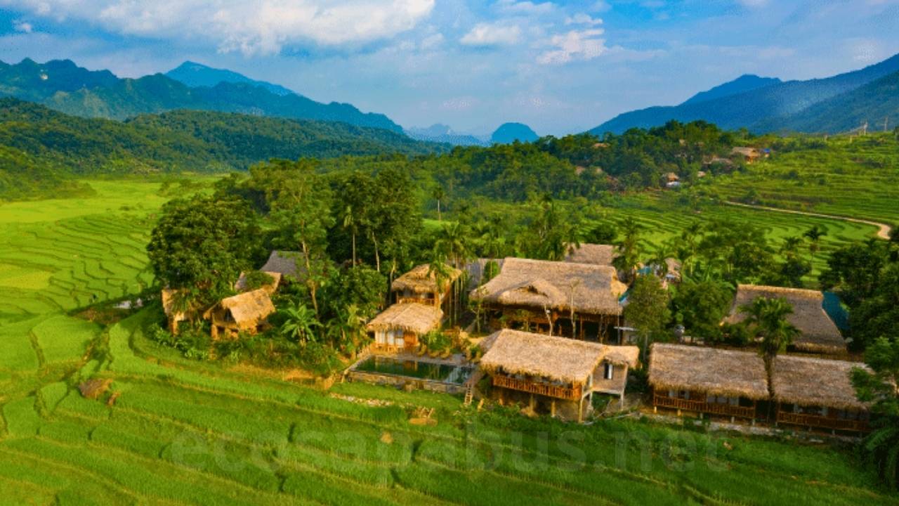 Pu Luong Travel Guide 2026: 8 Highlights, Best Time & Tours from Hanoi Traditional Thai ethnic stilt house in Pu Luong village