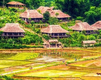 Mai Chau from Hanoi 2026 | Travel Guide, Transfer & Things To Do Traditional White Thai stilt house in Mai Chau valley with rice fields visible below, wooden construction on bamboo stilts