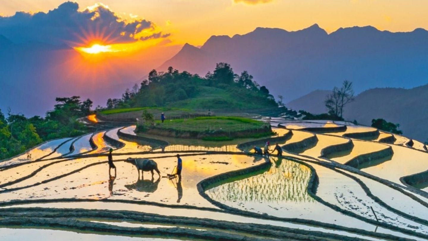 SAPA TRAVEL GUIDE 2026 Sapa terraced rice fields and misty mountains