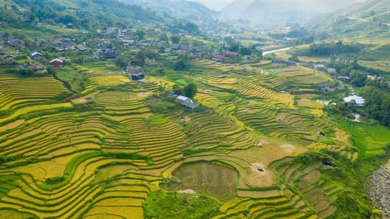 Pu Luong Travel Guide 2026: 8 Highlights, Best Time & Tours from Hanoi Golden rice terraces in Pu Luong during harvest season