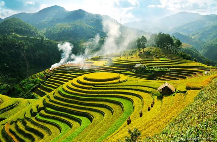 Mai Chau from Hanoi 2026 | Travel Guide, Transfer & Things To Do Pu Luong Nature Reserve terraced rice fields with bamboo forest and traditional stilt village in Thanh Hoa province Vietnam