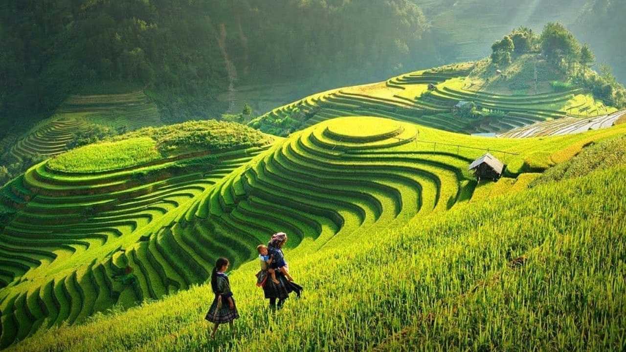 Sapa rice terraces and Fansipan mountain guide