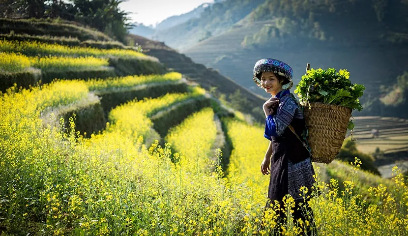 Mai Chau from Hanoi 2026 | Travel Guide, Transfer & Things To Do Sapa rice terraces with ethnic minority village in northern Vietnam mountains at sunrise