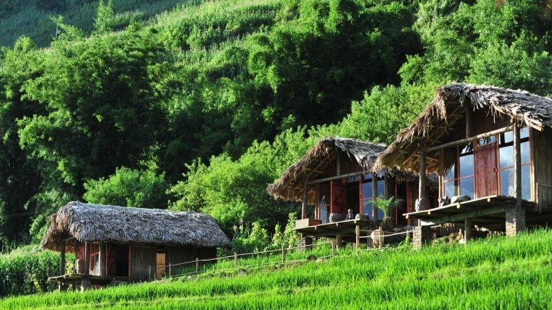 SaPa Best Things To Do Sapa rice terraces trekking with local guide
