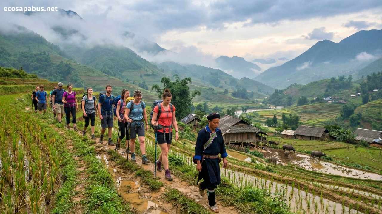 Muong Hoa Valley trekking rice terraces Sapa Vietnam 3-day tour EcoSapa Bus