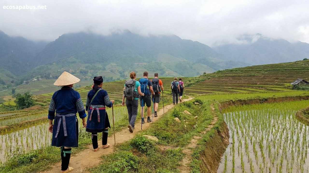 Sapa town misty mountain morning valley view