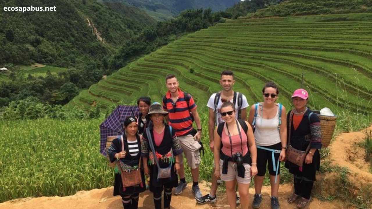 Walking downhill through huge rice paddy fields Sapa full day trekking