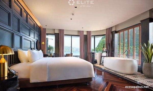 Elite of the Seas Cruise