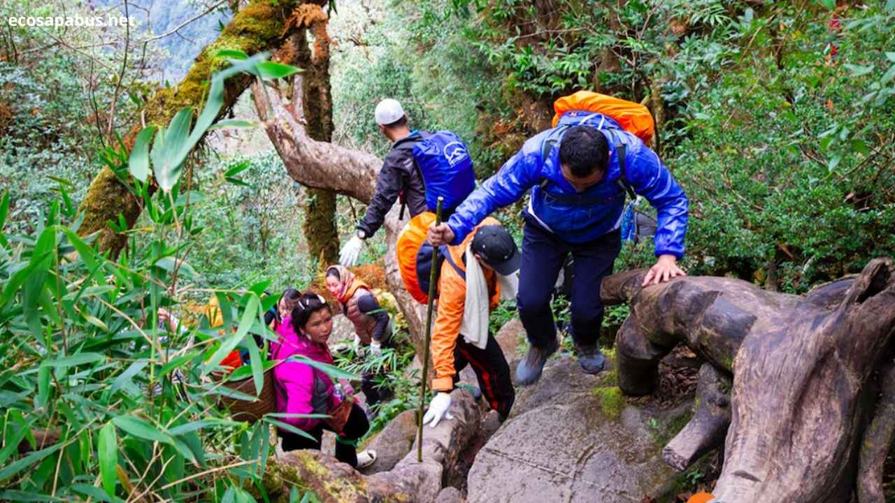 Glimpse of Sapa 2-day Cat Cat Silver Waterfall Ta Phin