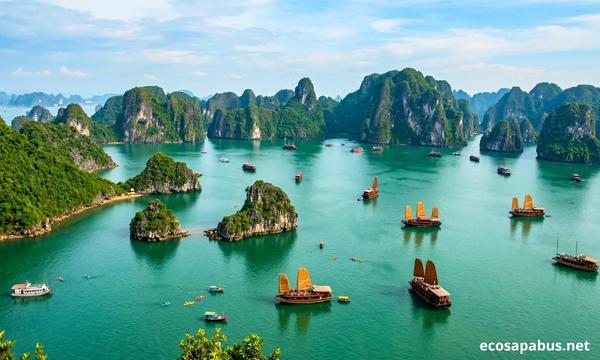 Ha Long Bay limestone karst islands and cruise boats — EcoSapa Bus Ha Long Bay guide 2026