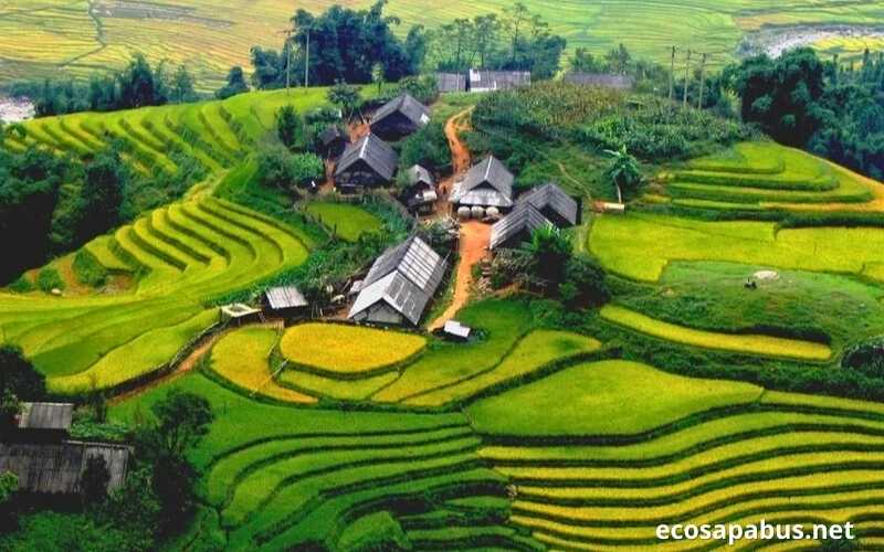 Sapa eco homestay Vietnam