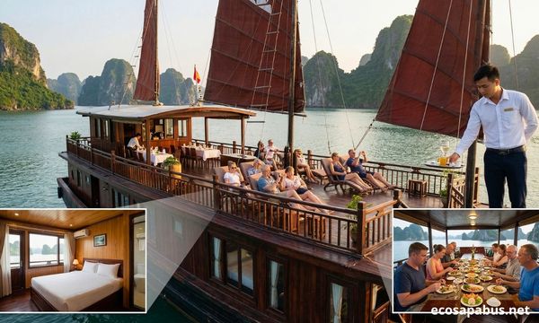 Ha Long Bay overnight cruise junk boat — mid-range licensed cruise 2026, private cabin and kayaking included