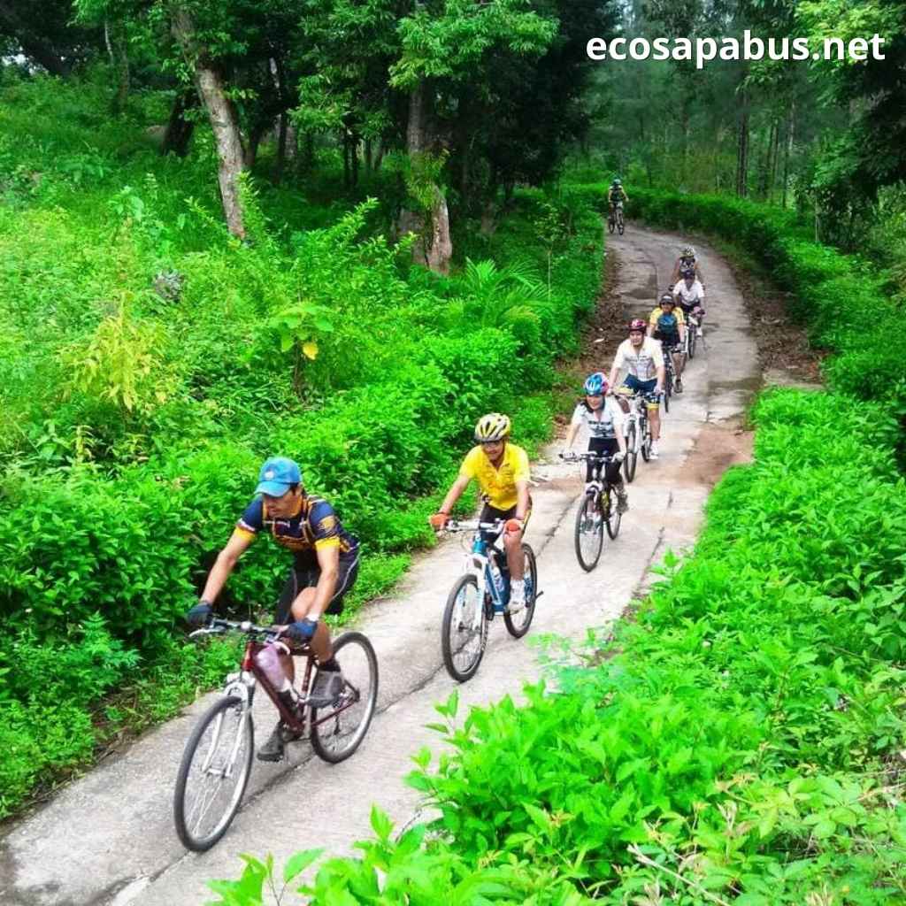 Phong Nha cycling valley rice fields green Vietnam countryside morning