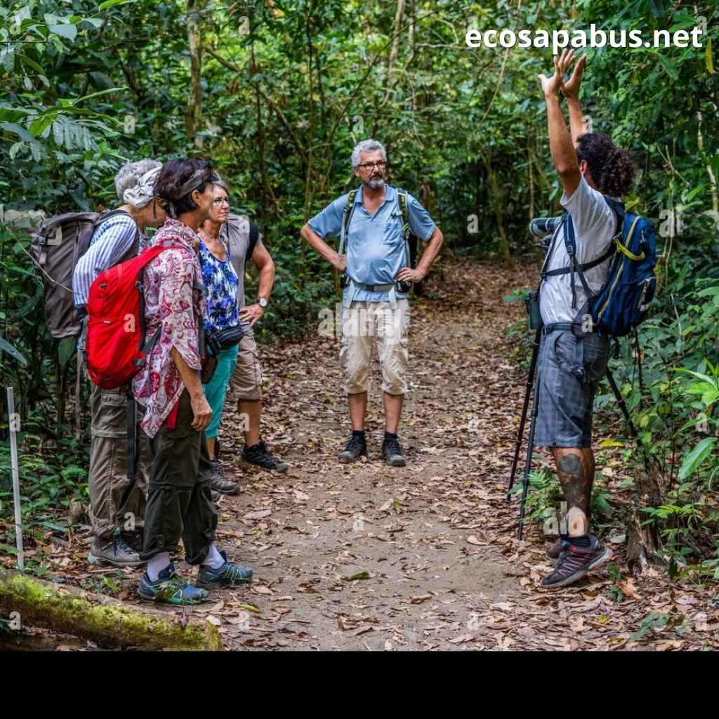 Vietnam jungle trekking primary forest Phong Nha national park guide