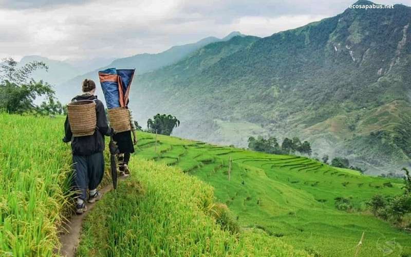 Sapa ethnic village trekking — combine Sapa and Ha Long Bay 5-day tour EcoSapa Bus