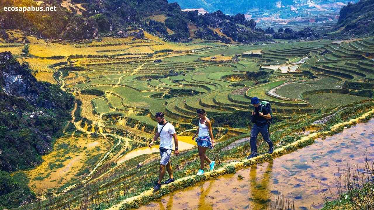 Ta Phin village Red Dao traditional customs Sapa trekking