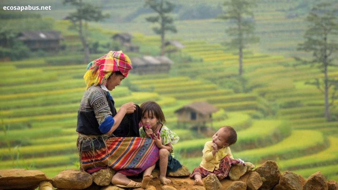Red Dao village Ta Phin hidden trail Sapa 2-day private trek