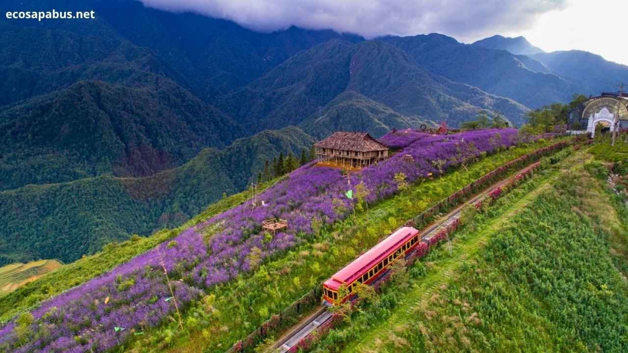 Muong Hoa Valley rice terraces trekking Y Linh Ho Sapa