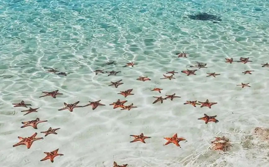 Sao Beach Phu Quoc Vietnam — turquoise water and white sand, best beach in Vietnam 2026