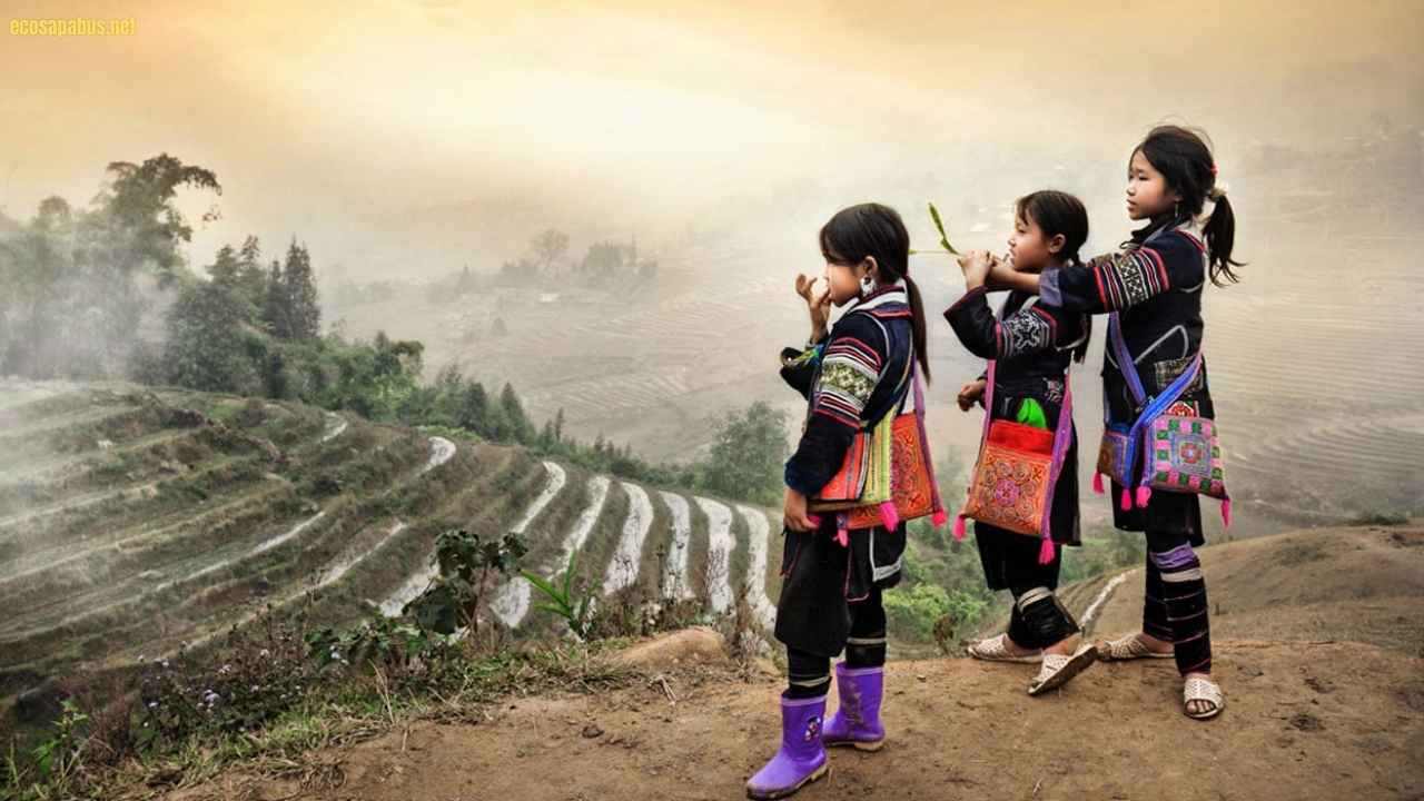 Sin Chai village Fansipan mountain base panoramic view Sapa trekking