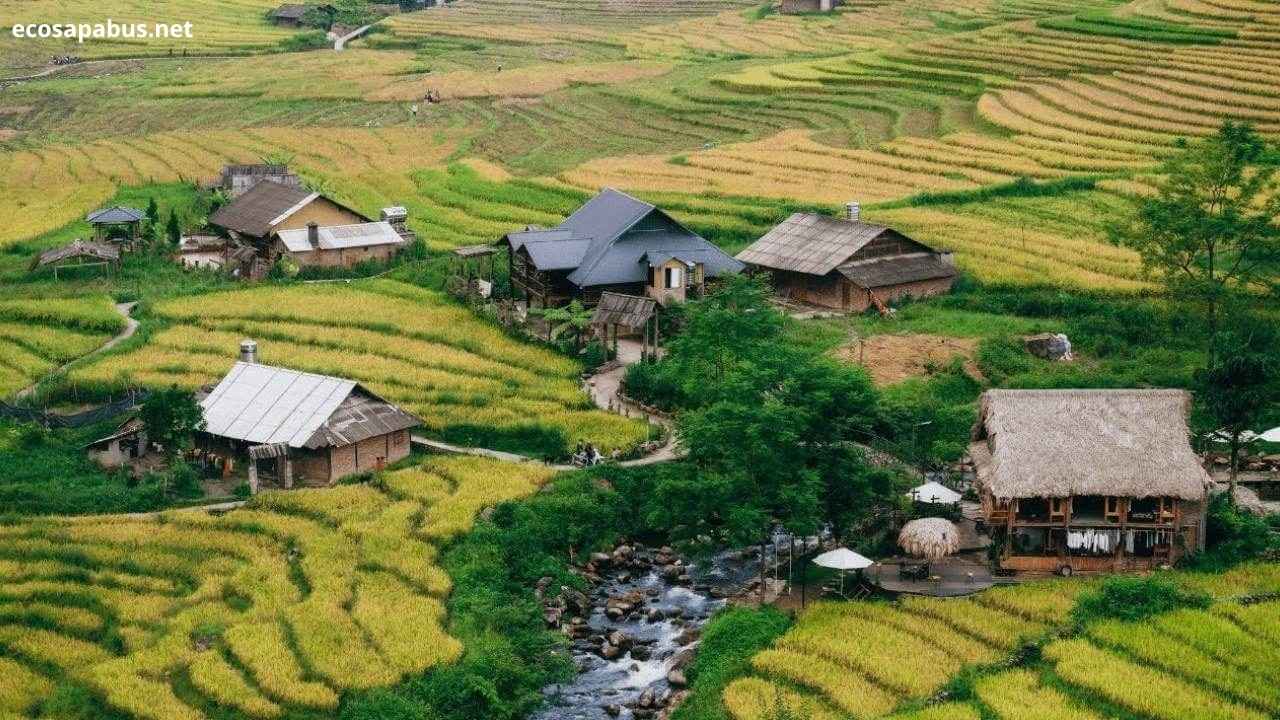 Muong Hoa Valley Y Linh Ho Lao Chai terraced rice fields Sapa trekking