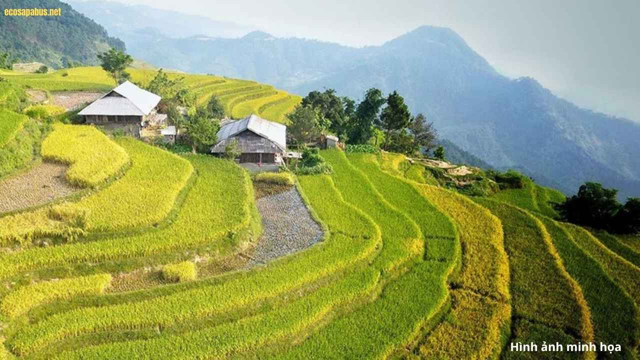 Sin Chai village Fansipan mountain base panoramic view Sapa trekking