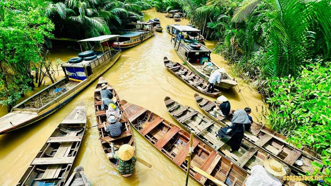 Ben Tre coconut trees river channels Mekong