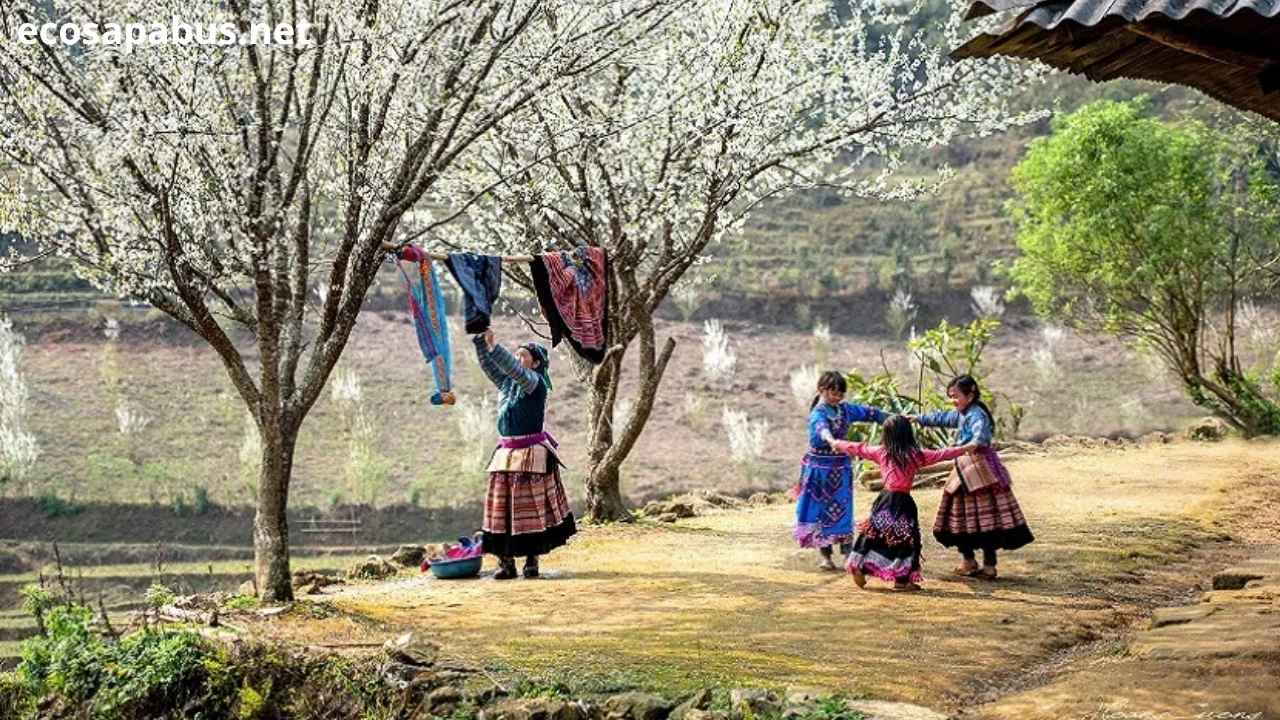 Highland road to Bac Ha Market from Sapa North Vietnam