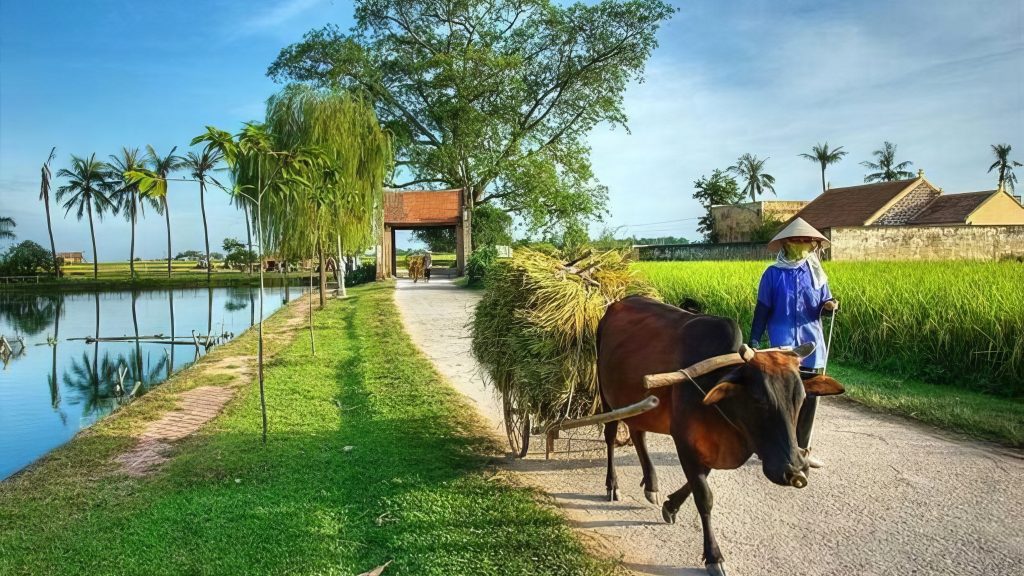 A Day in Ky Son: Biking, Cooking & Herbal Healing – EcoSapa Bus
