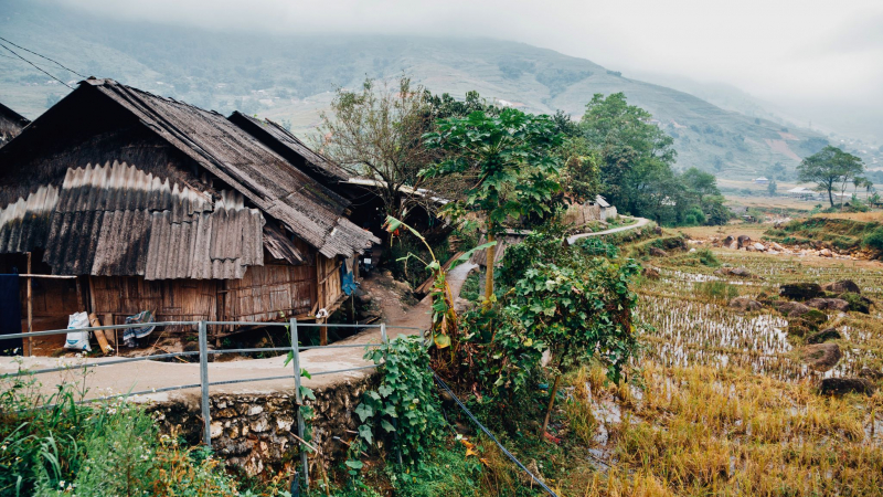 Be Impressed By The Vast Terraced Fields Spread Across The Hillsides When Visiting Lao Chai Village