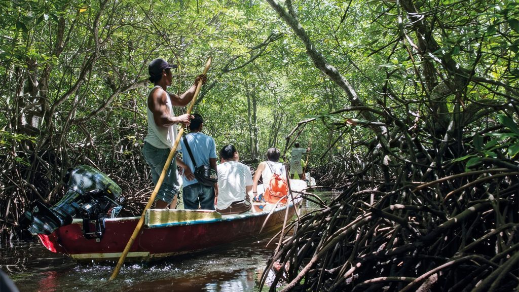 Begin Your Journey To Can Gio Mangrove Biosphere Reserve With A Scenic Drive in Can Gio Mangrove Adventure full day