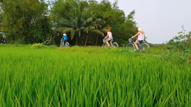 Hoi An Basket Boat Tour 5 Hours – Cam Thanh