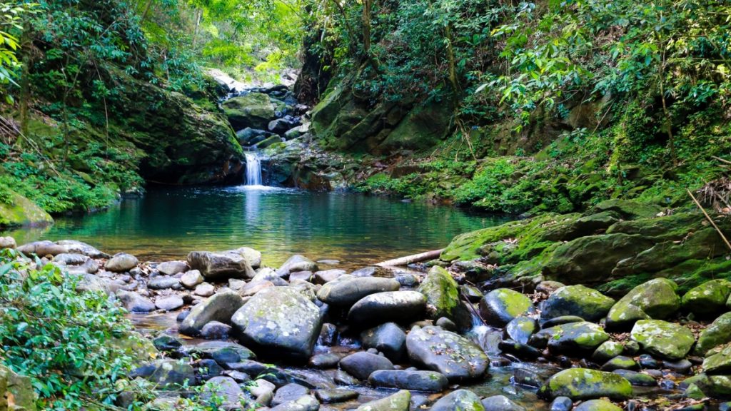Discover Bach Ma National Park & Lang Co Beach Full Day – EcoSapa Bus