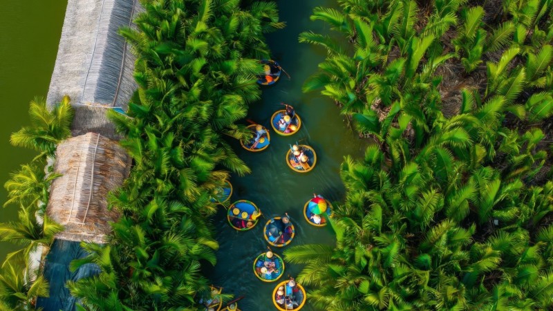 Discover Cam Thanh Water Coconut Forest By The River