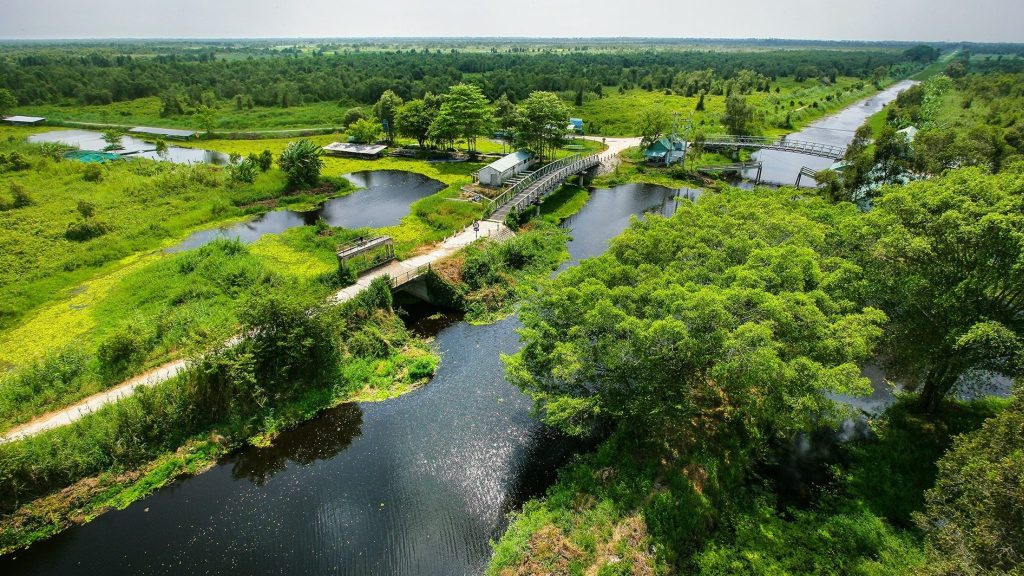 Discover The Heritage Beauty Of U Minh Thuong Historical And Ecological Tourist Site