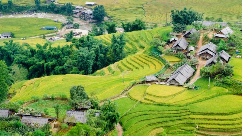 Enjoy A Last Stroll Through The Peaceful Surroundings In Dien Bien Phu