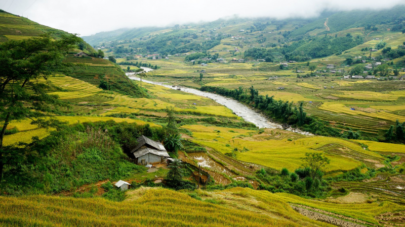 Enjoy The Fantastic View Of Ta Van in Y Linh Ho
