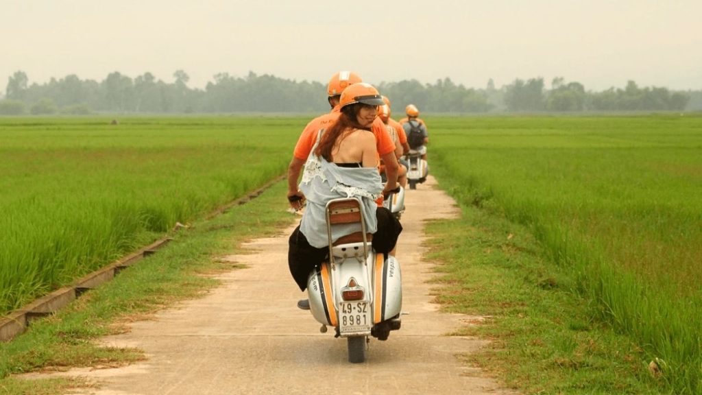 Enjoy The Ride Through The Scenic Rice Fields