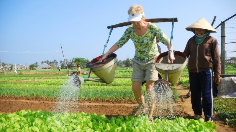 Experience Watering Rice Fields Alongside Local Vietnamese Farmers