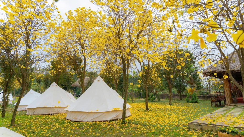 Explore Ba Vi Eco Camping Site, A Peaceful Retreat Surrounded By Nature And Mountain Views