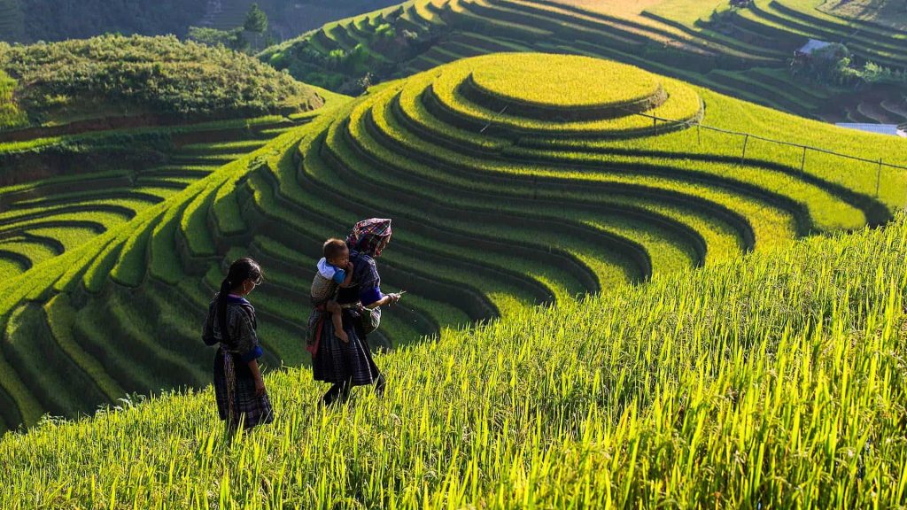 Sapa Bac Ha Market Tour 2 Days 1 Night – Lao Chai & Ta Van