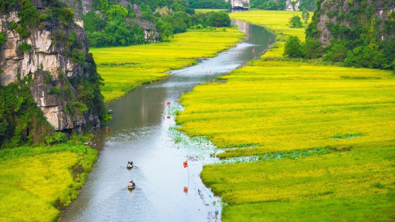 Glide Along The Scenic Ngo Dong River On A Sampan Boat