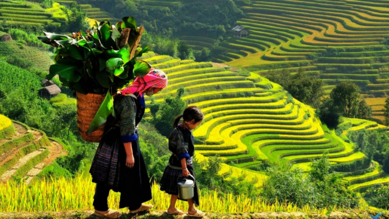 Gorgeous Mountain Views From Sin Chai Village in Sapa